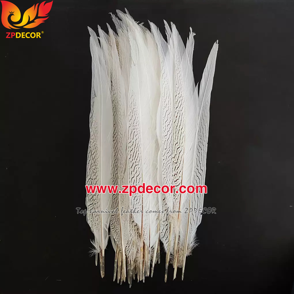 Zpdecor Feather Top Supplier Wholesale 60-65cm Natural Silver Pheasant Tail Feathers for Carnival Costumes Design
