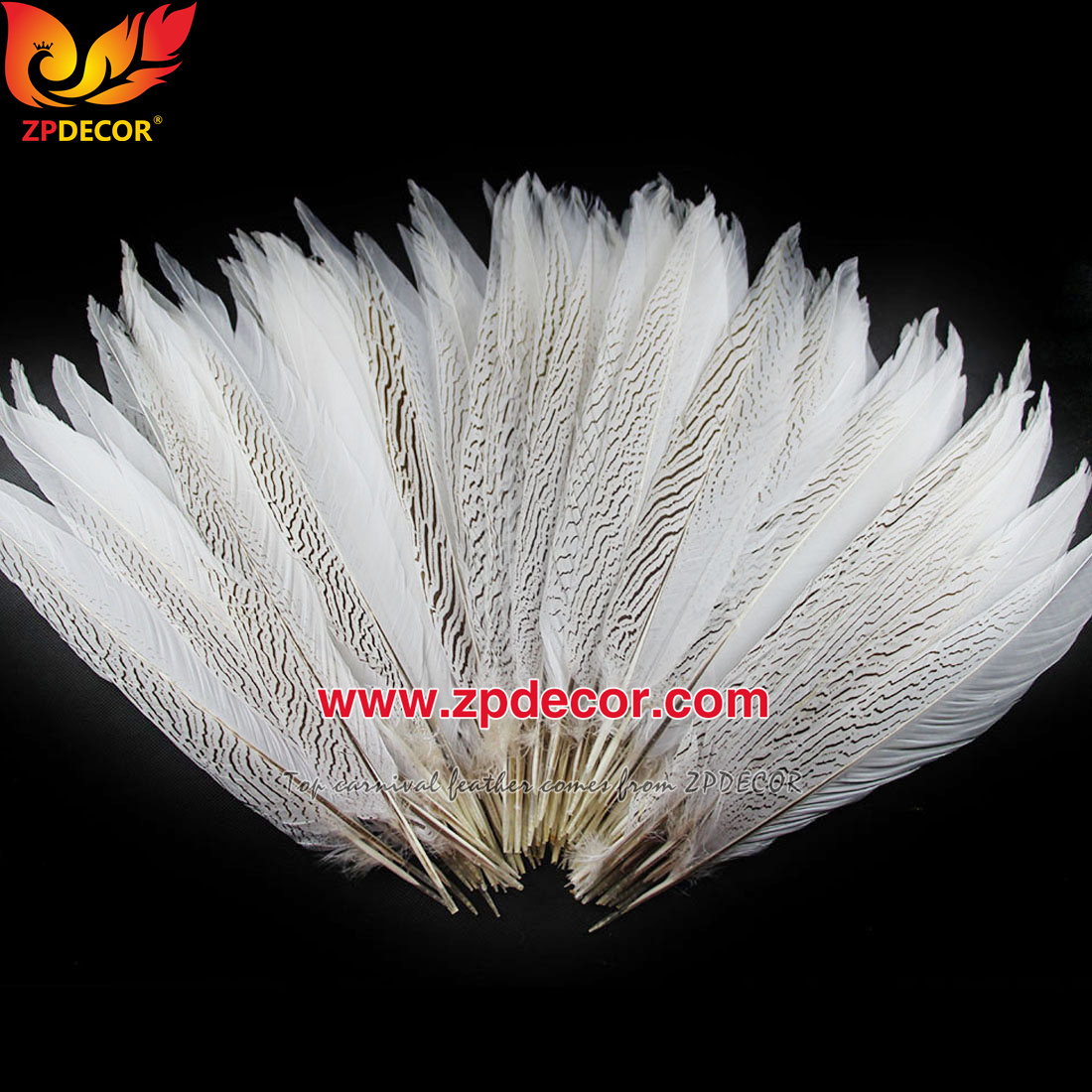 Zpdecor Feather Top Supplier Wholesale 35-40cm Natural Silver Pheasant Tail Feathers for Carnival Costumes Design
