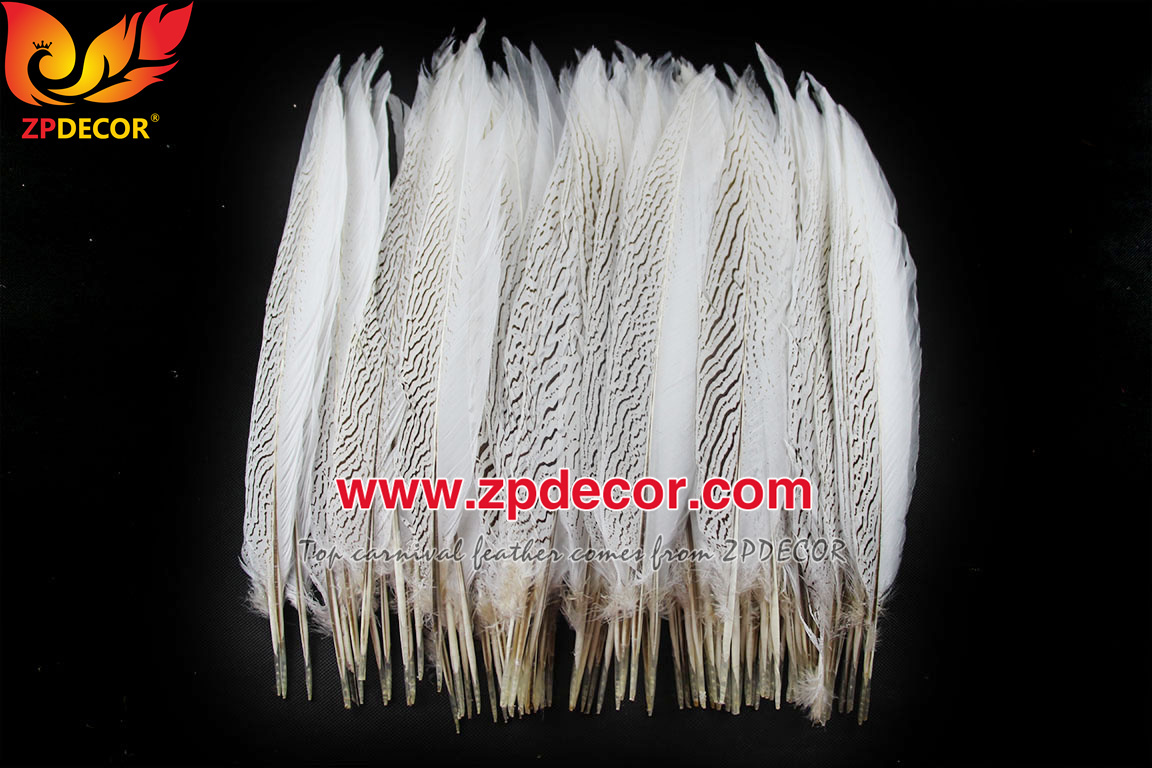 Zpdecor Feather Top Supplier Wholesale 35-40cm Natural Silver Pheasant Tail Feathers for Carnival Costumes Design