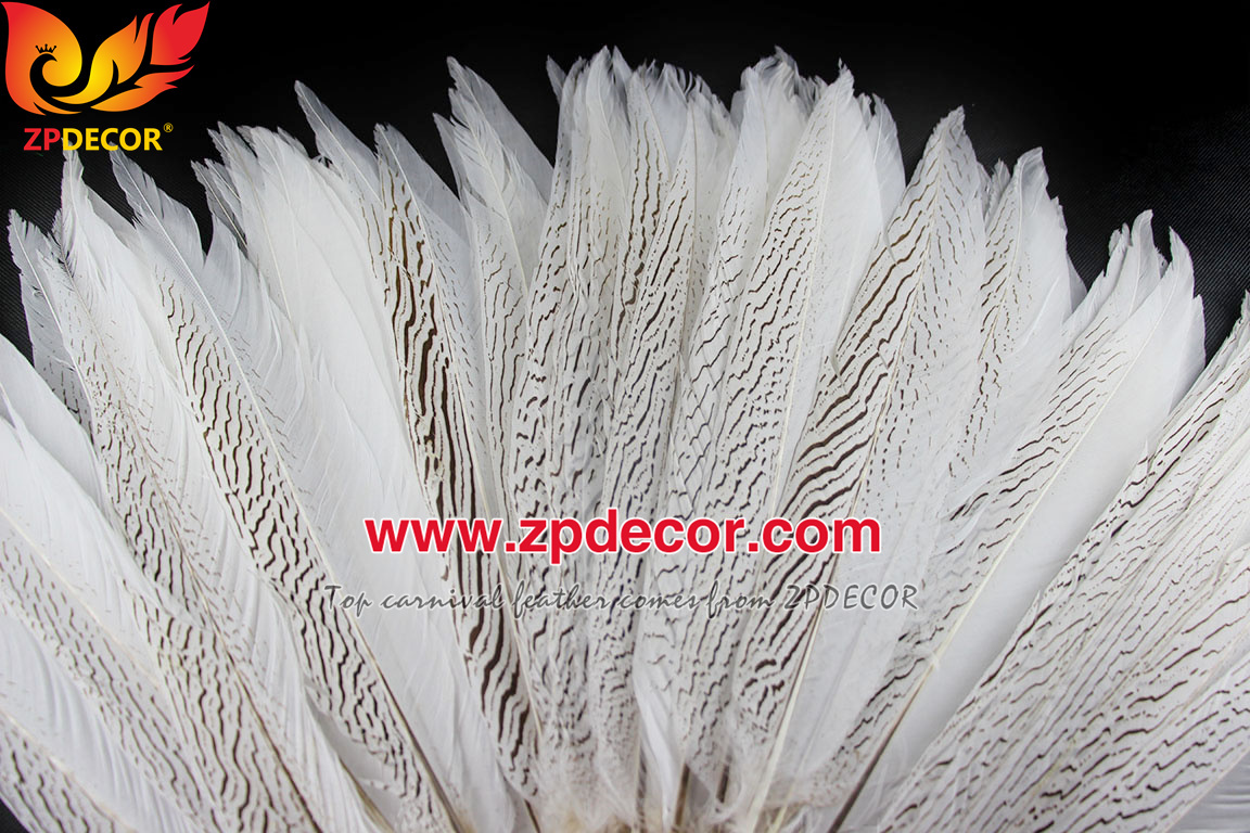 Zpdecor Feather Top Supplier Wholesale 35-40cm Natural Silver Pheasant Tail Feathers for Carnival Costumes Design