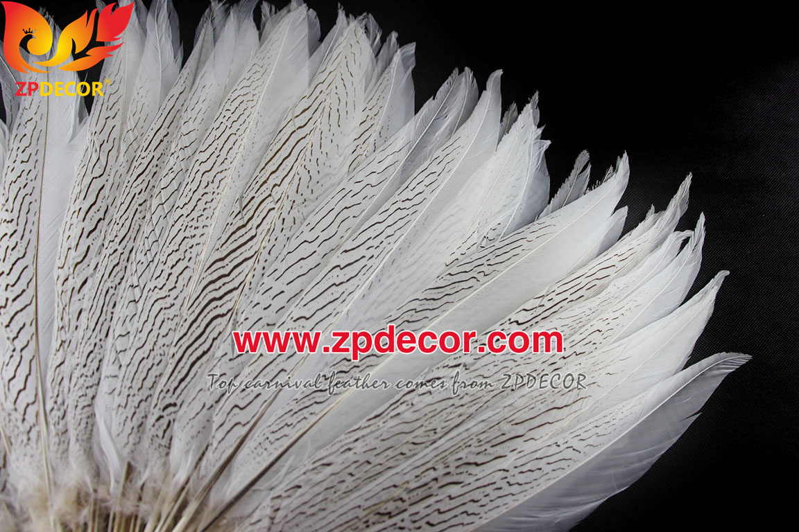 Zpdecor Feather Top Supplier Wholesale 35-40cm Natural Silver Pheasant Tail Feathers for Carnival Costumes Design