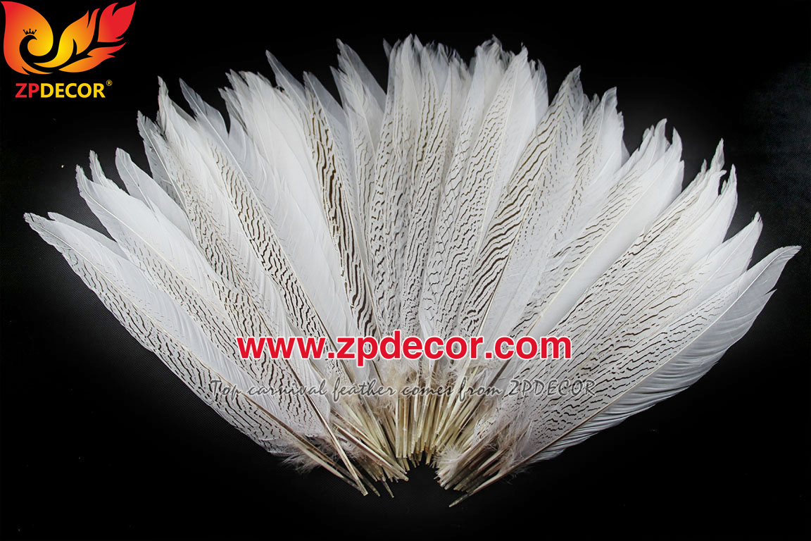 Zpdecor Feather Top Supplier Wholesale 35-40cm Natural Silver Pheasant Tail Feathers for Carnival Costumes Design