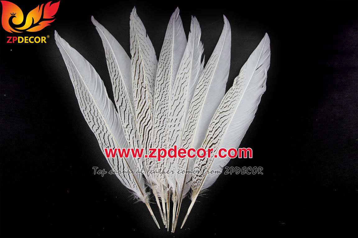 Zpdecor Feather Top Supplier Wholesale 35-40cm Natural Silver Pheasant Tail Feathers for Carnival Costumes Design
