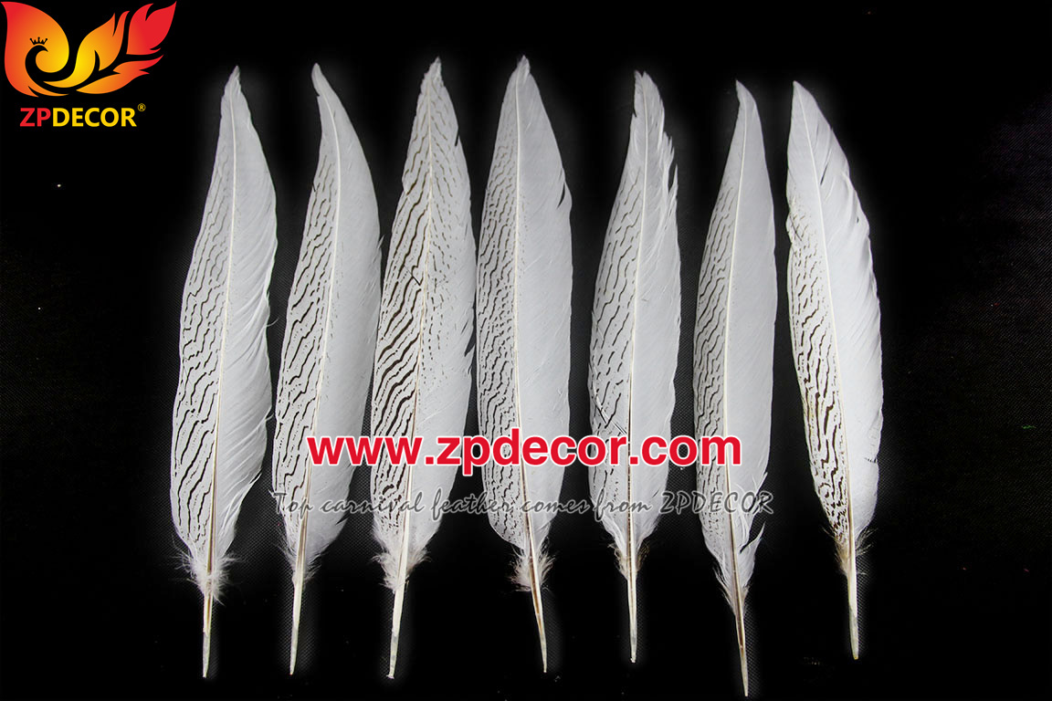 Zpdecor Feather Top Supplier Wholesale 35-40cm Natural Silver Pheasant Tail Feathers for Carnival Costumes Design