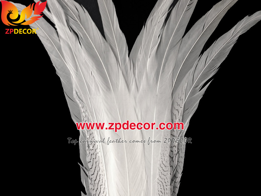 Zpdecor Feather Top Supplier Wholesale Natural Silver Pheasant Tail Feathers for Carnival Costumes Design