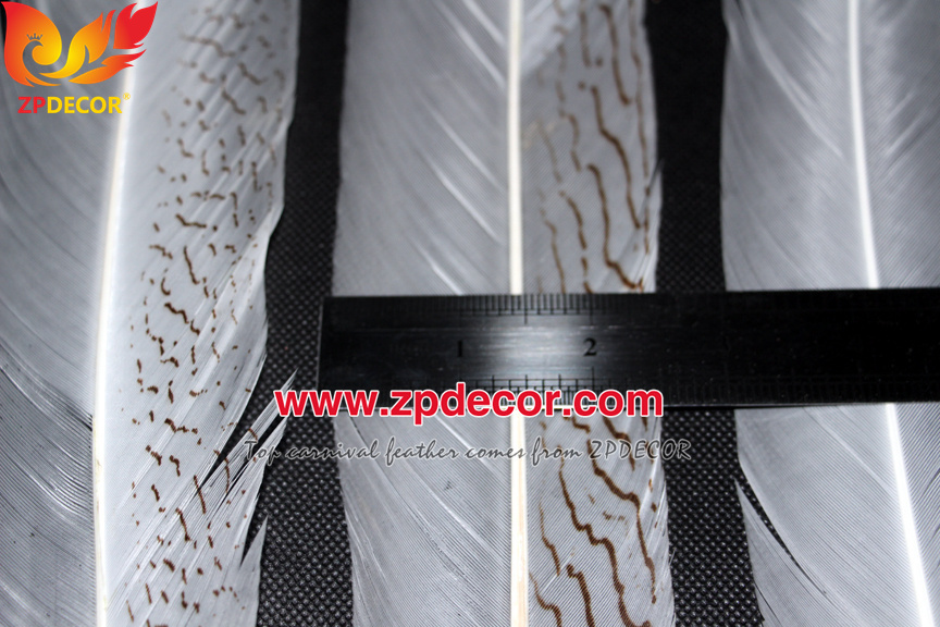 Zpdecor Feather Top Supplier Wholesale Natural Silver Pheasant Tail Feathers for Carnival Costumes Design