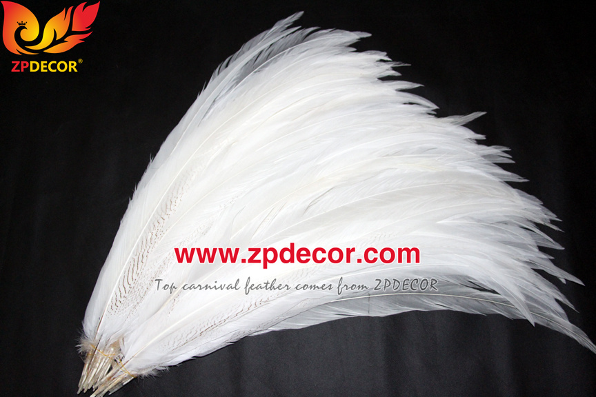 Zpdecor Feather Top Supplier Wholesale Natural Silver Pheasant Tail Feathers for Carnival Costumes Design