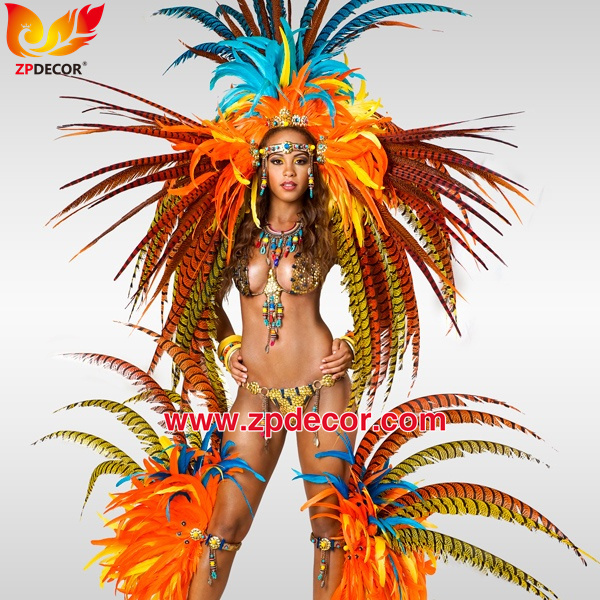 Zpdecor Feathers Factory Wholesale Dyed Lady Amherst Pheasant Zebra Tail Feathers for Carnival Costumes Design