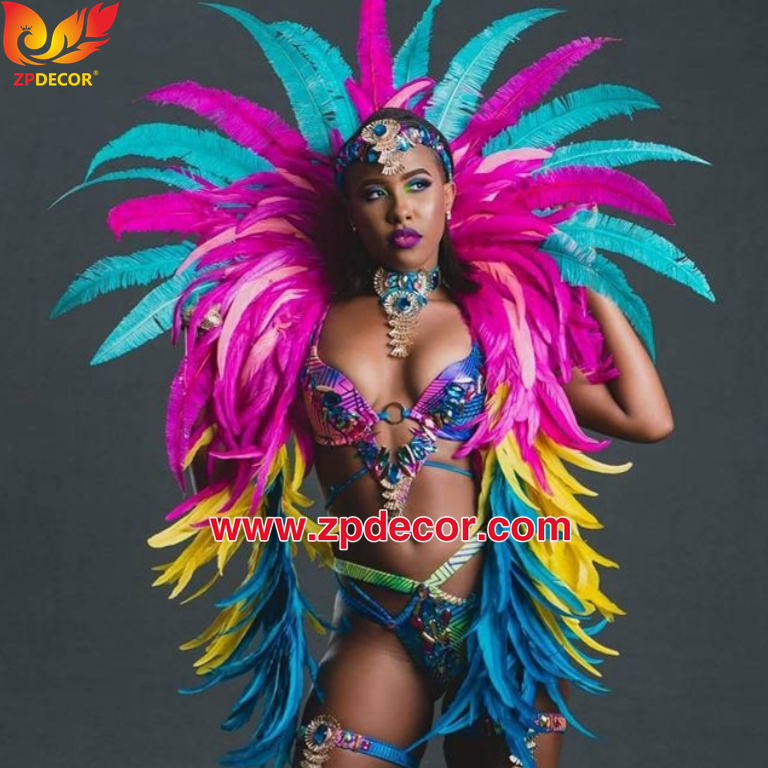 Zpdecor Feathers Wholsale Ostrich Feathers