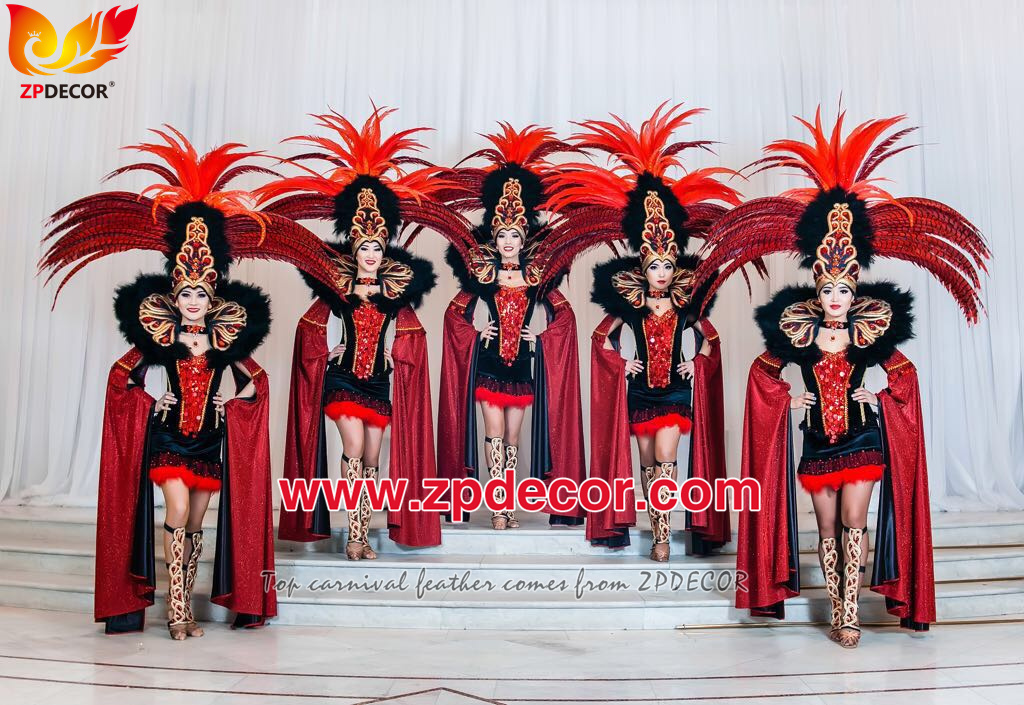 Zpdecor Feathers Factory Wholesale Dyed Red Lady Amherst Pheasant Zebra Tail Feathers for Carnival Costumes Design