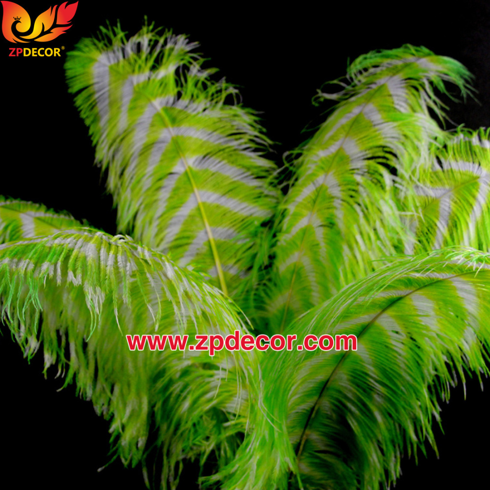 Zpdecor Feathers Wholsale Striped Dyed Ostrich Feathers