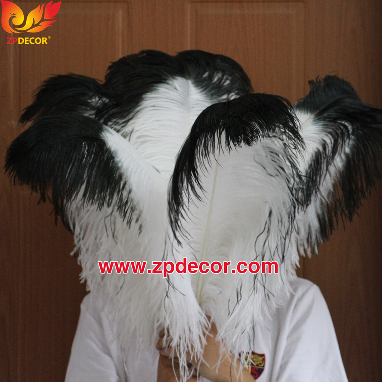 Zpdecor Feathers Wholsale White Ostrich Feathers with Black Tip
