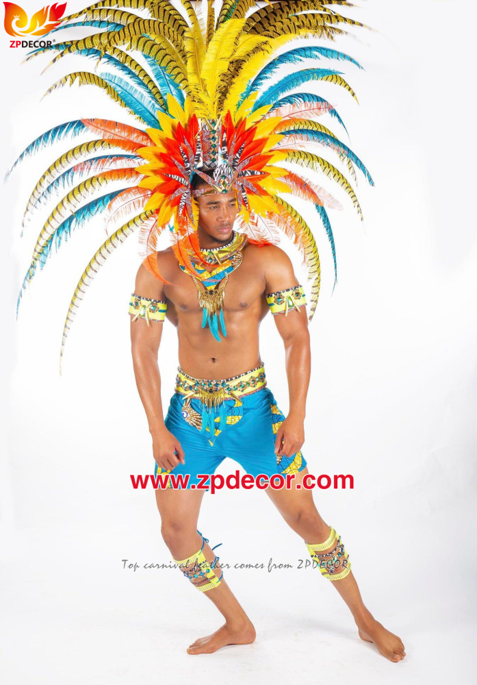 Zpdecor Feathers Factory Wholesale Dyed Yellow Lady Amherst Pheasant Zebra Tail Feathers for Carnival Costumes Design