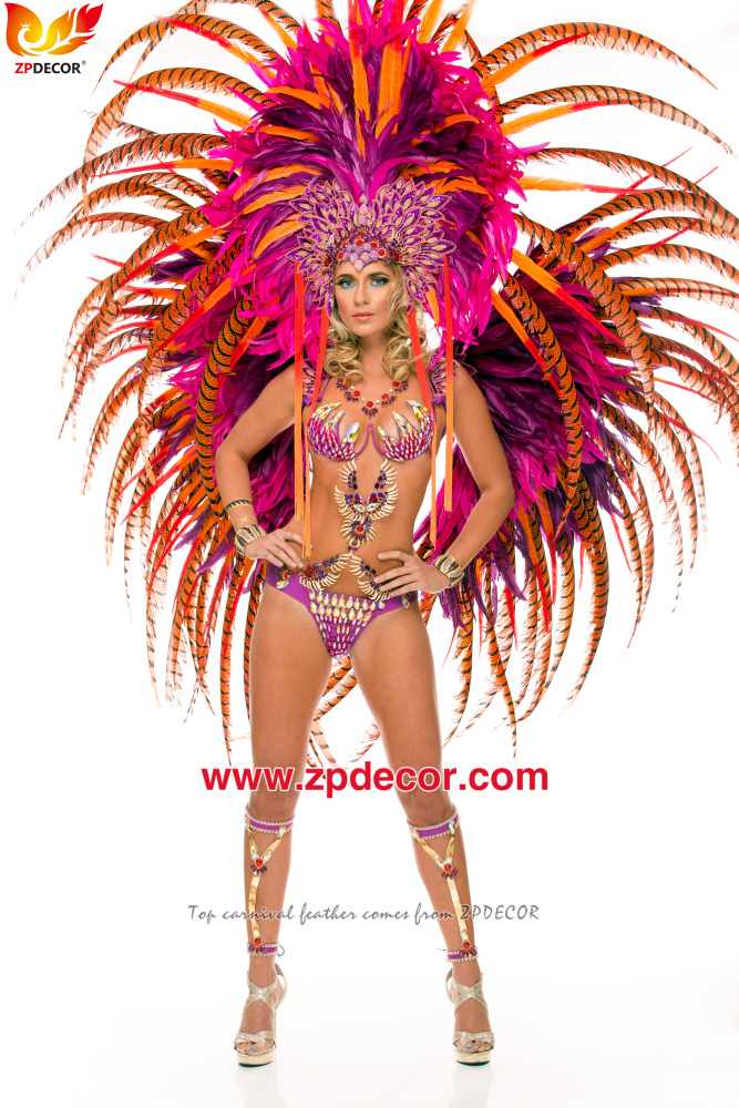 Zpdecor Feathers Factory Wholesale Dyed Yellow Lady Amherst Pheasant Zebra Tail Feathers for Carnival Costumes Design