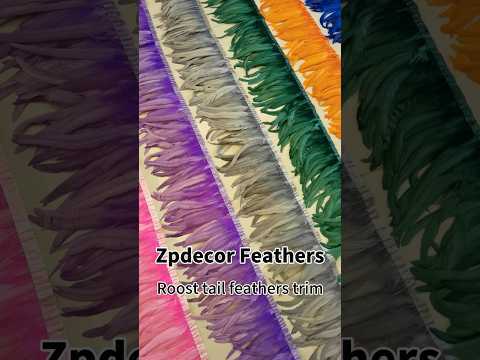 Zpdecor Feathers Factory Wholesale 30-35cm 16 Colors Stock Rooster Coque Tail Feathers Trim for Carnival Costumes Design