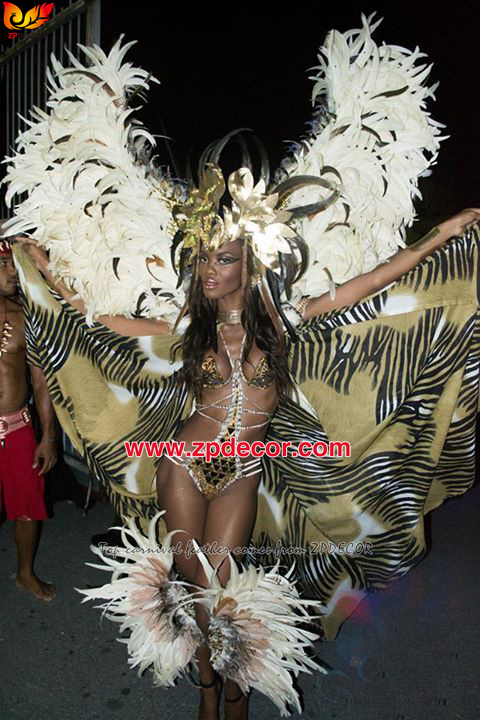 Zpdecor Feathers Factory Wholesale 25-30 cm Bleached Dyed Beige White Rooster Coque Tail Feathers Trim for Dominica Carnival Costumes