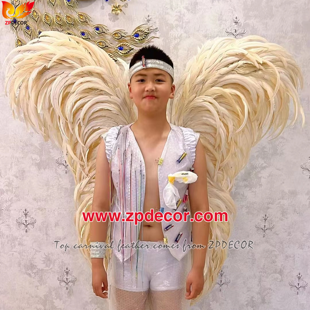 Zpdecor Feathers Factory Wholesale 25-30 cm Bleached Dyed Beige White Rooster Coque Tail Feathers Trim for Miami Carnival Costumes
