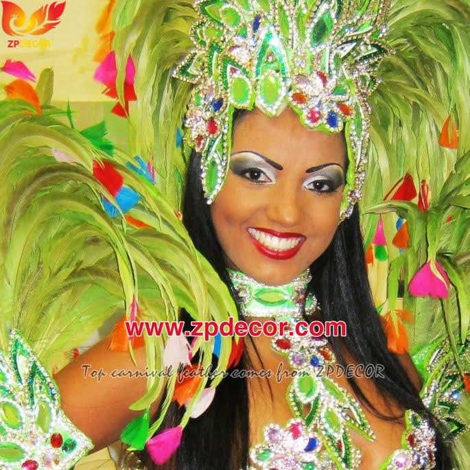 Zpdecor Feathers Factory Wholesale 25-30 cm Bleached Dyed Lime Green Rooster Coque Tail Feathers Trim for Bahams Jankanoo Carnival