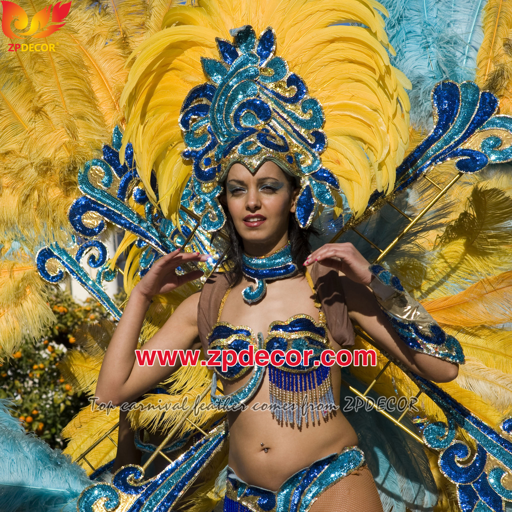 Zpdecor Feathers Factory Wholesale 25-30 cm Bleached Dyed Yellow Rooster Coque Tail Feathers Trim for Bahams Jankanoo Carnival