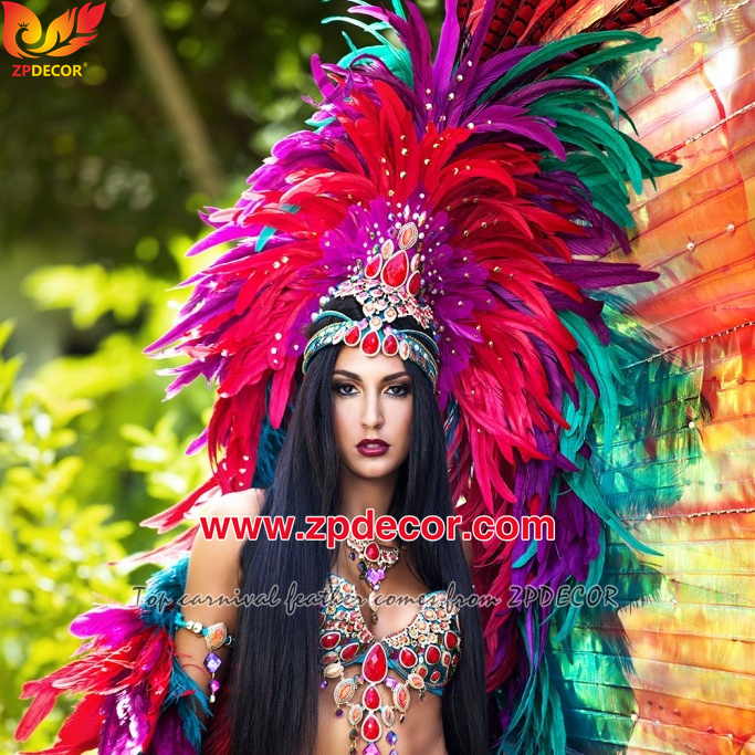 Zpdecor Feathers Factory Wholesale 25-30 cm Bleached Dyed Hot Pink Rooster Coque Tail Feathers Trim for Bahams Jankanoo Carnival