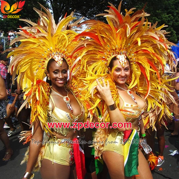Zpdecor Feathers Factory Wholesale 25-30 cm Bleached Dyed Gold Yellow Rooster Coque Tail Feathers Trim for Notting Hill Carnival