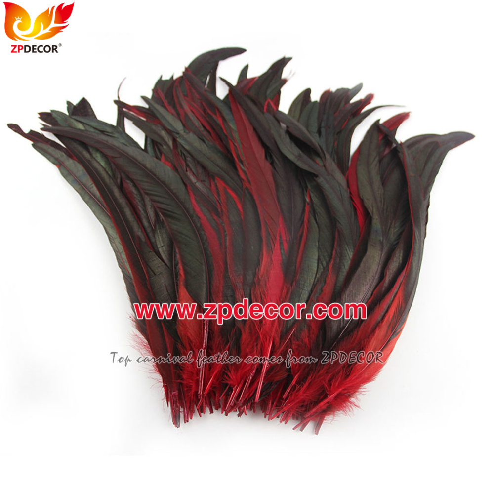 Zpdecor Feathers Factory Wholesale 30-35cm Directly Dyed Mix Colors Rooster Coque Tail Feathers for Bahams Jankanoo Carnival