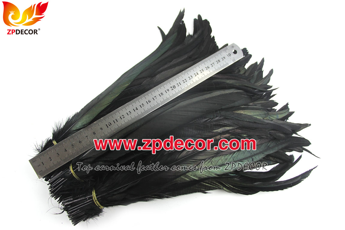 Zpdecor Feathers Factory Wholesale 30-35cm Directly Dyed Black Rooster Coque Tail Feathers for Bahams Jankanoo Carnival