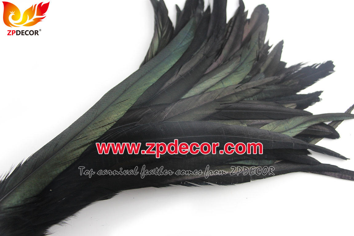 Zpdecor Feathers Factory Wholesale 30-35cm Directly Dyed Black Rooster Coque Tail Feathers for Bahams Jankanoo Carnival