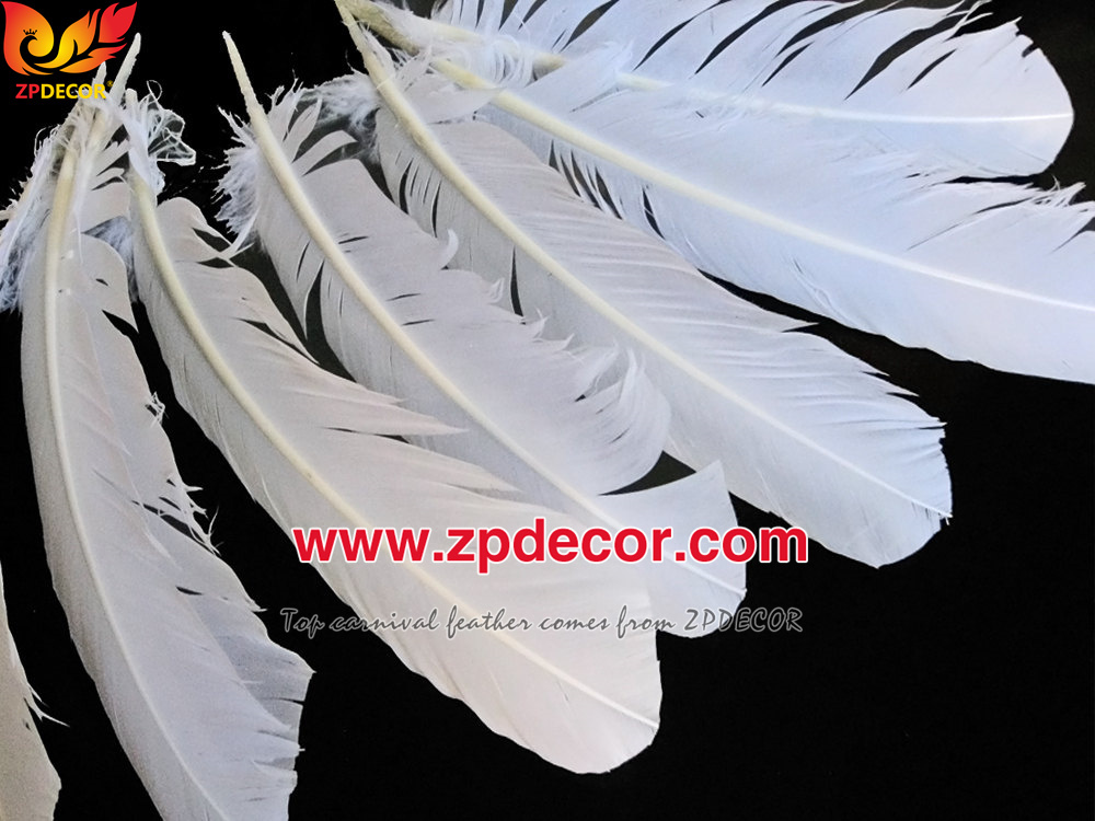 Zpdecor Feathers Factory Wholesale 25-30 cm Stock White Turkey Rounds Quill Wing Feathers for Carnival Samba Costumes