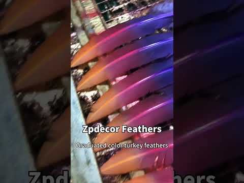Zpdecor Feathers Factory Wholesale 25-30 cm Mix Colors Stock Turkey Rounds Quill Wing Feathers for Carnival Costumes