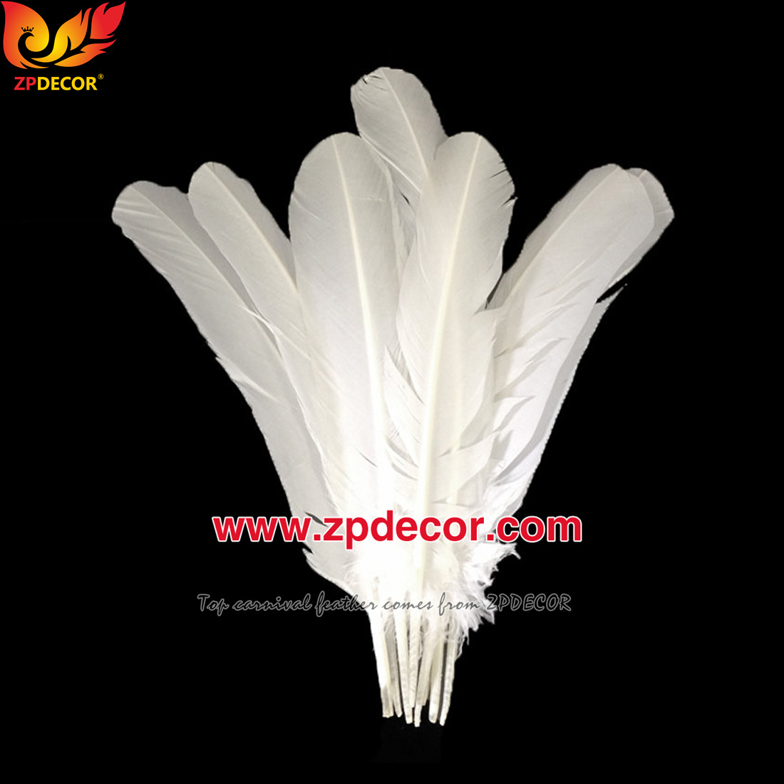 Zpdecor Feathers Factory Wholesale 40-45 cm Directly Dyed Purple Rooster Coque Tail Feathers for Funny Carnival Costume