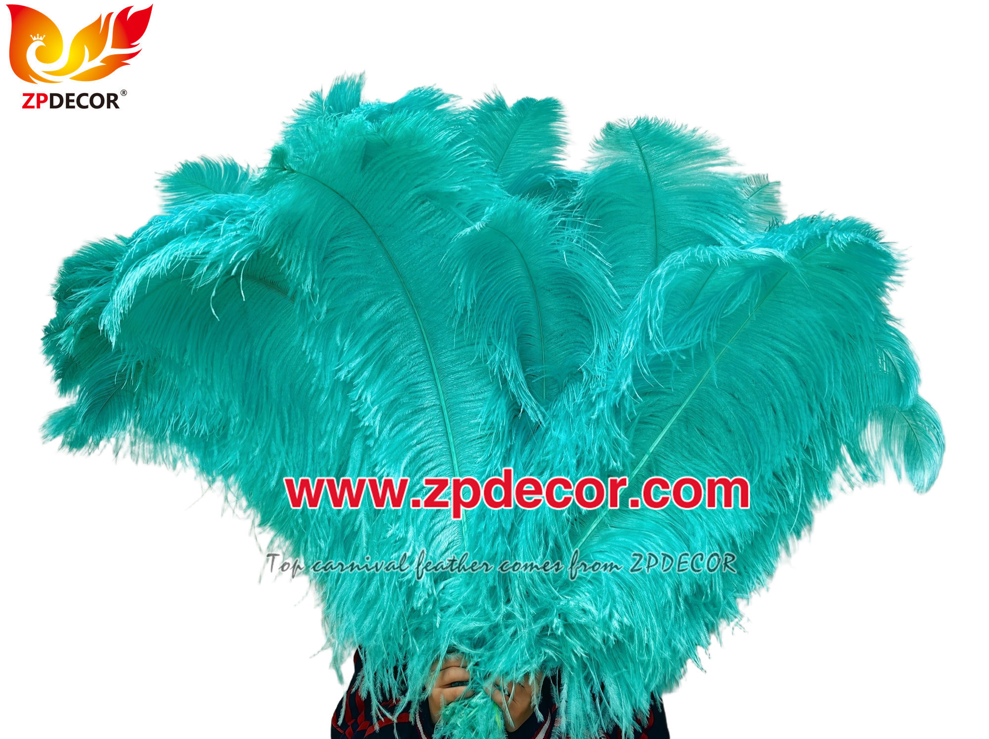 Zpdecor Factory Wholesale High Quality 70-75 cm Dyed Ostrich Feathers for Carnival Costumes