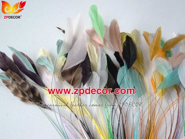 Zpdecor Factory Wholesale Cheap Stripped Coque Tail Feathers for Fashion Costumes Design
