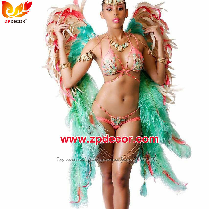 Zpdecor Factory Wholesale High Quality 70-75 cm Dyed Ostrich Feathers for Carnival Costumes