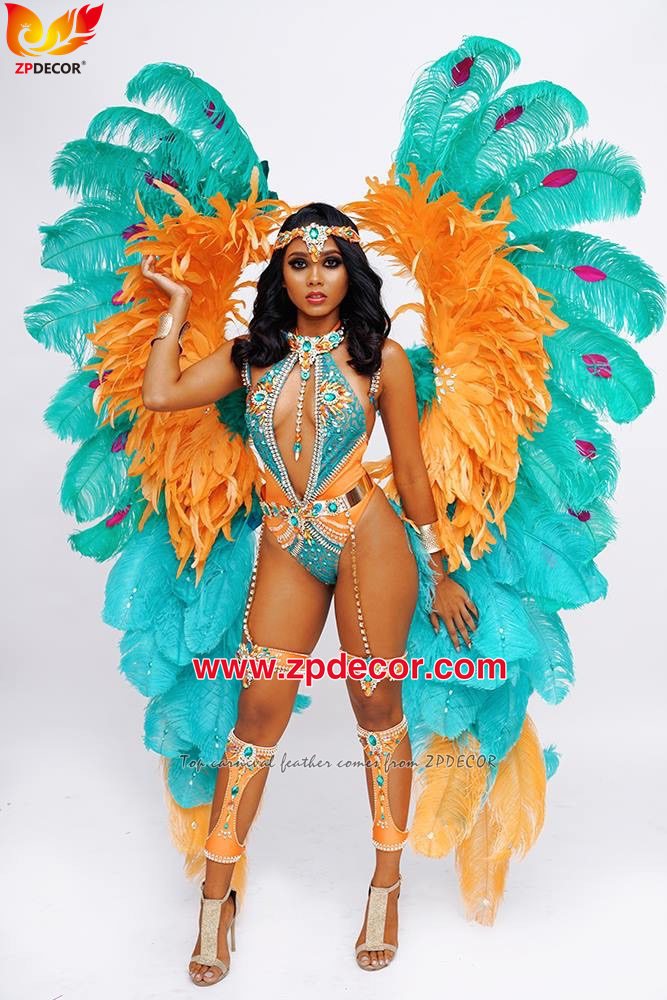 Zpdecor Factory Wholesale High Quality 70-75 cm Dyed Ostrich Feathers for Carnival Costumes