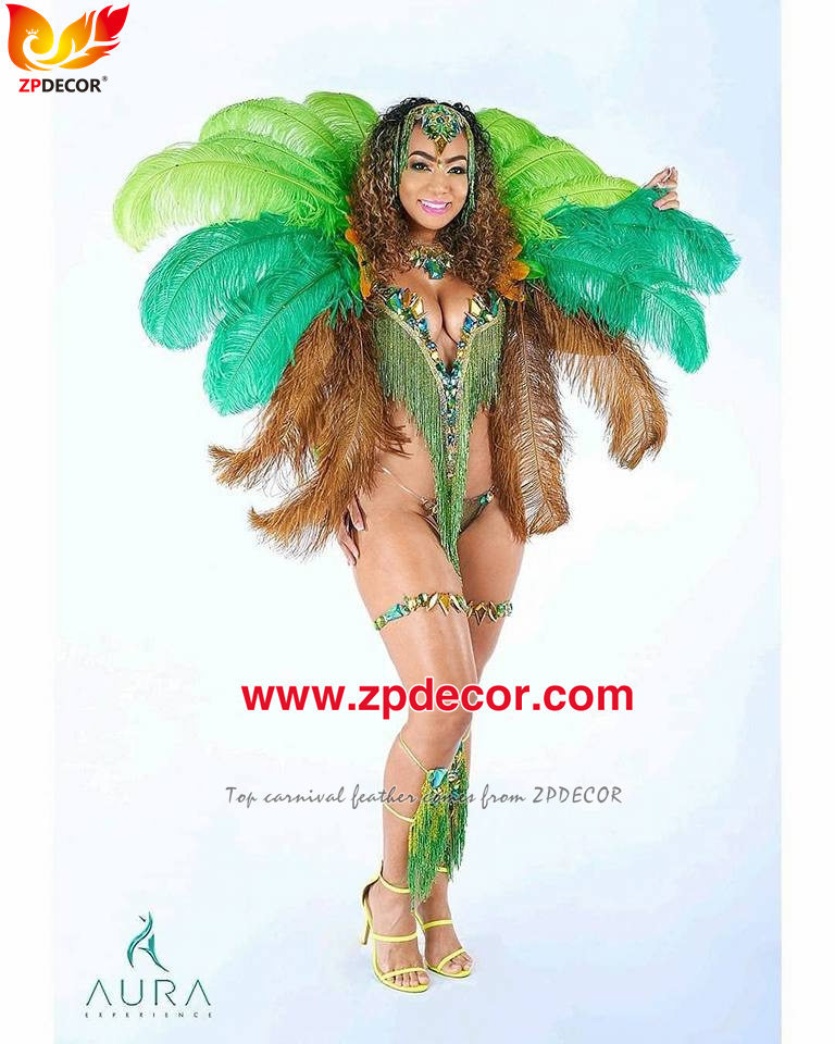 Zpdecor Factory Wholesale High Quality 70-75 cm Dyed Ostrich Feathers for Carnival Costumes