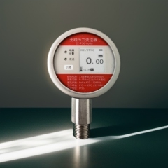 EZ-TP30-LoRa (Wireless Temperature and Pressure Integrated Digital Pressure Gauge)