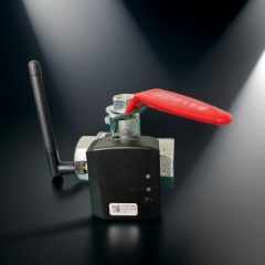 EZ-DS-LoRa(Wireless valve position monitoring module)