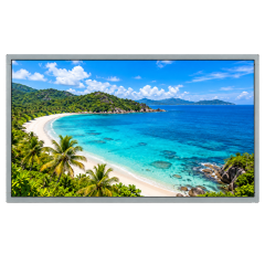 LG Display LM215WF3-SLS1 21.5 Inch FHD IPS LCD Panel,LG Display LM215WF3-SLS1 21.5 Inch FHD IPS LCD Panel