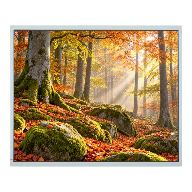 BOE EV190E0M-N10 19.0" SXGA Industrial LCD Panel | XIANHENG,BOE EV190E0M-N10 19.0" SXGA Industrial LCD Panel | XIANHENG