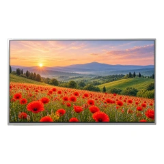 BOE EV238FHB-N10 23.8" FHD Industrial LCD Panel with customized high brightness | Medical Imaging Display,BOE EV238FHB-N10 23.8" FHD Industrial LCD Panel | Medical Imaging Display