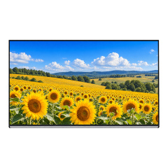 Innolux M215HCA-L3B 21.5 Inch FHD AAS LCD Panel,M215HCA-L3B 21.5 Inch FHD AAS LVDS LCD Panel | XIANHENG