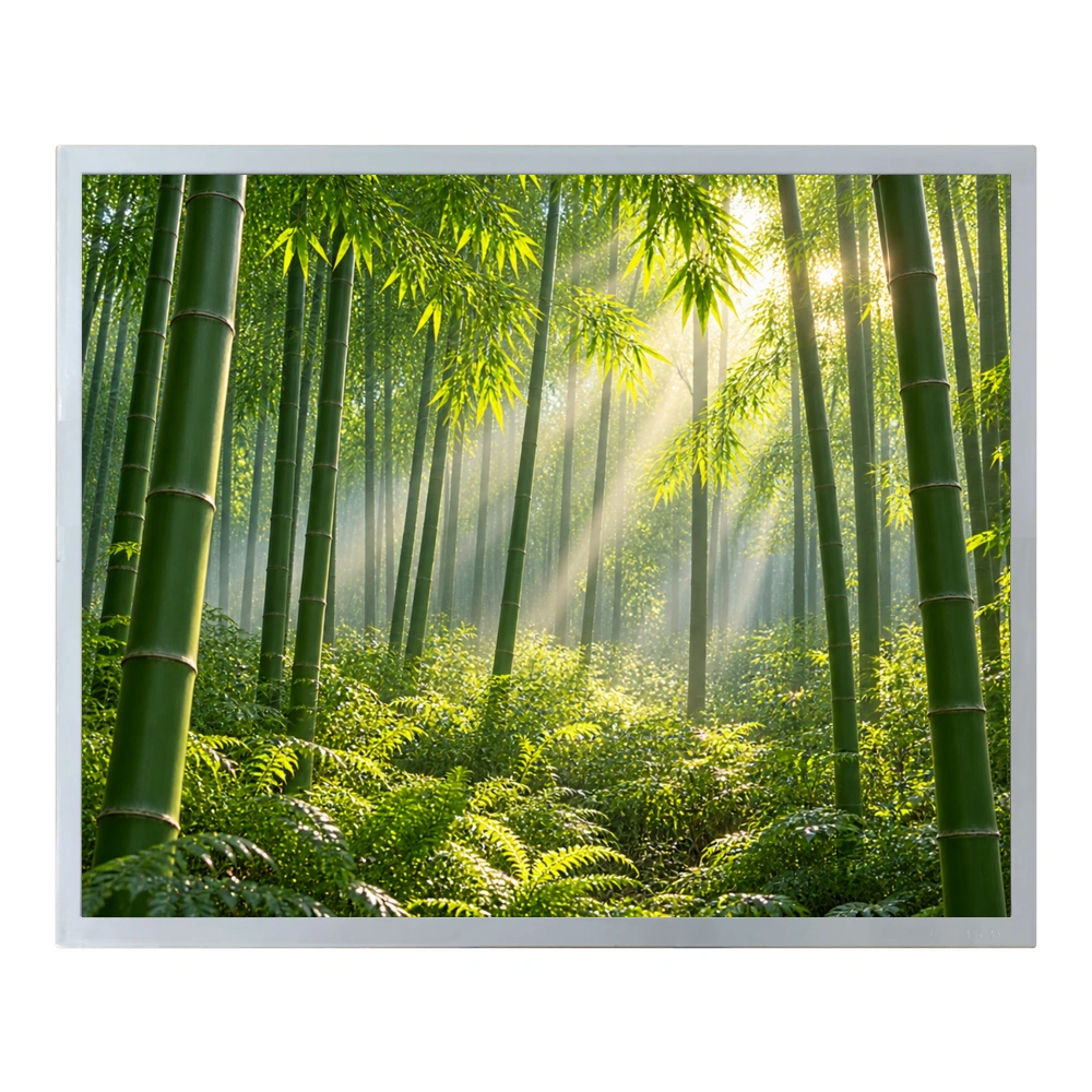 PV190E0M-N10 BOE Original 19" Robust Industrial Display Panel,PV190E0M-N10 BOE Original 19" Robust Industrial Display Panel