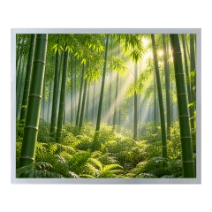 PV190E0M-N10 BOE Original 19" Robust Industrial Display Panel,PV190E0M-N10 BOE Original 19" Robust Industrial Display Panel