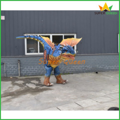 Western Dragon Costume for Performance