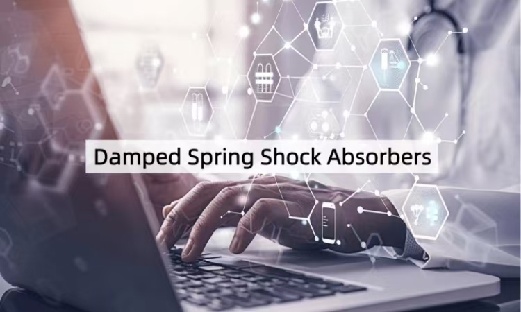 Damped Spring Shock Absorbers