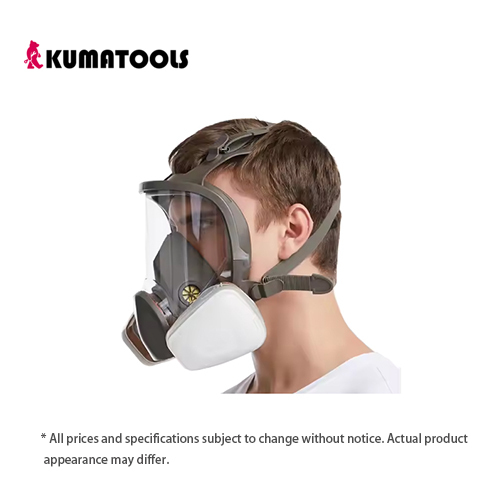 Full-Face Respirators