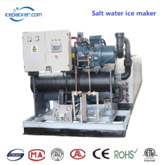 Salt water ice block maker machine,Ice Cup Machine, Ice Maker Machines Manufacturer | Shanghai Fillpack