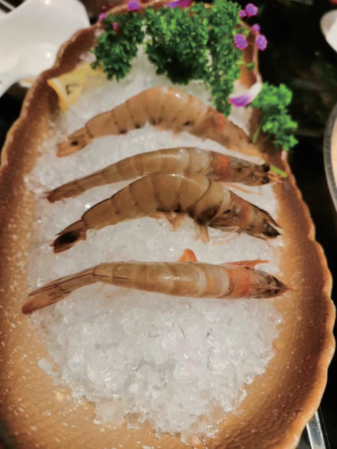 Granular ice maker machine, Particle ice making machine,Ice Cup Machine, Ice Maker Machines Manufacturer | Shanghai Fillpack