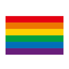 8" x 5 1/2" Rainbow Handheld Flags